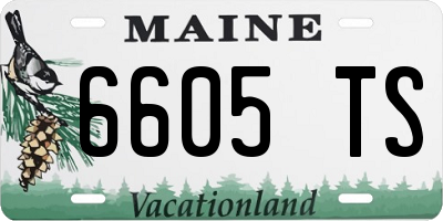 ME license plate 6605TS