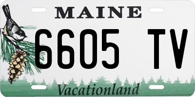ME license plate 6605TV