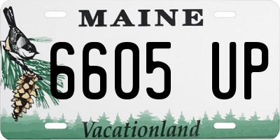 ME license plate 6605UP