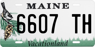 ME license plate 6607TH