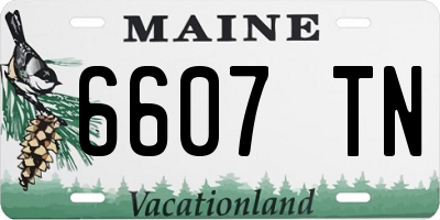 ME license plate 6607TN