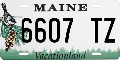 ME license plate 6607TZ