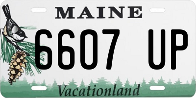ME license plate 6607UP