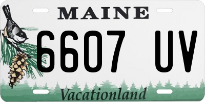 ME license plate 6607UV