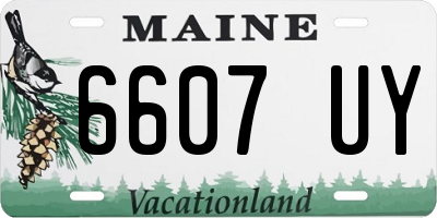 ME license plate 6607UY