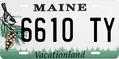 ME license plate 6610TY