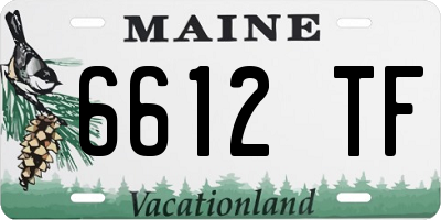ME license plate 6612TF