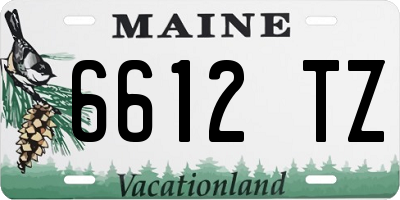 ME license plate 6612TZ