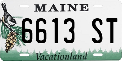 ME license plate 6613ST