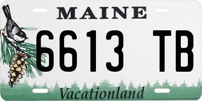 ME license plate 6613TB