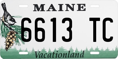 ME license plate 6613TC