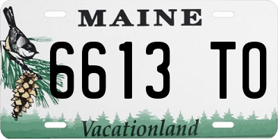 ME license plate 6613TO