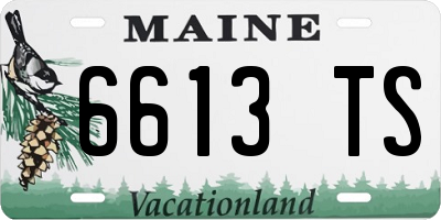 ME license plate 6613TS