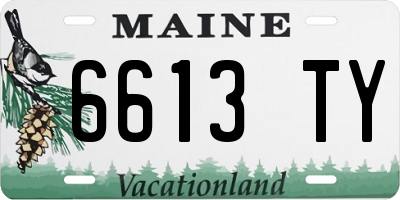 ME license plate 6613TY