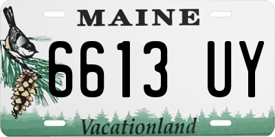 ME license plate 6613UY