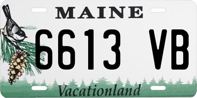 ME license plate 6613VB
