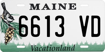 ME license plate 6613VD