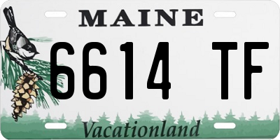 ME license plate 6614TF