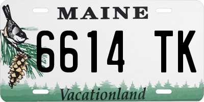 ME license plate 6614TK