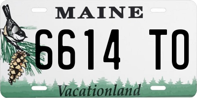 ME license plate 6614TO