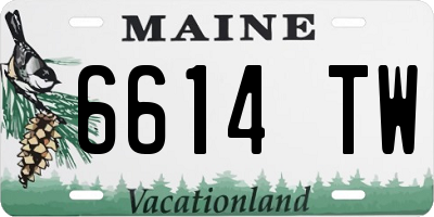 ME license plate 6614TW