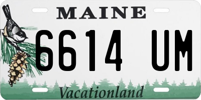 ME license plate 6614UM