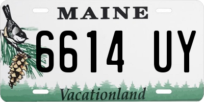 ME license plate 6614UY