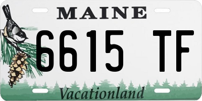 ME license plate 6615TF