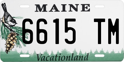 ME license plate 6615TM