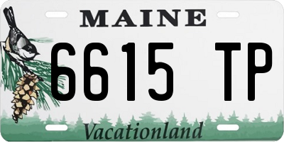 ME license plate 6615TP