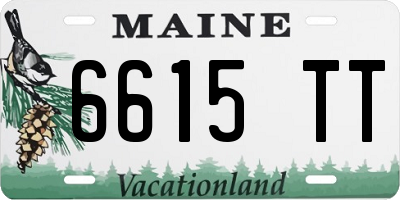 ME license plate 6615TT