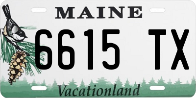 ME license plate 6615TX