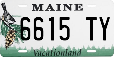 ME license plate 6615TY