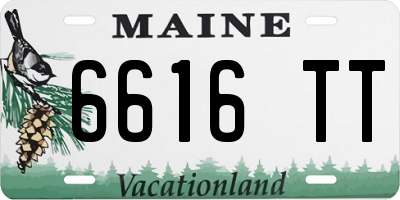 ME license plate 6616TT