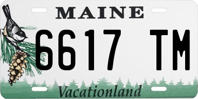 ME license plate 6617TM