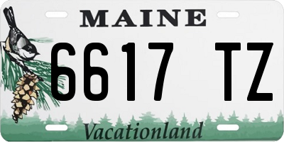 ME license plate 6617TZ