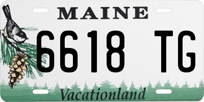 ME license plate 6618TG