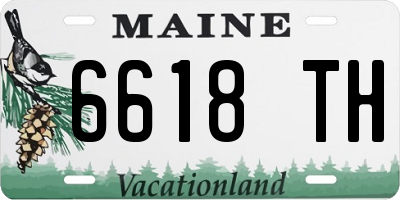ME license plate 6618TH
