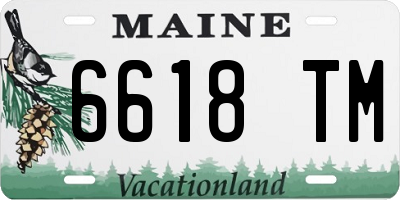 ME license plate 6618TM