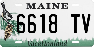 ME license plate 6618TV