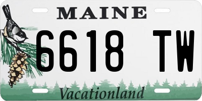 ME license plate 6618TW