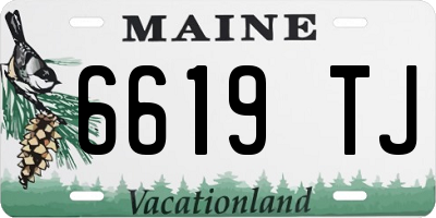 ME license plate 6619TJ