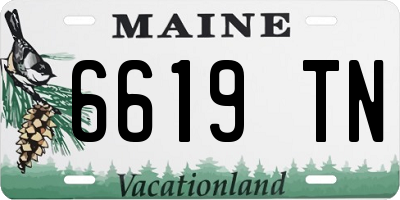 ME license plate 6619TN