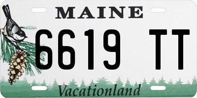 ME license plate 6619TT