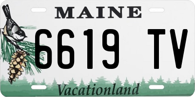ME license plate 6619TV