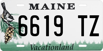 ME license plate 6619TZ
