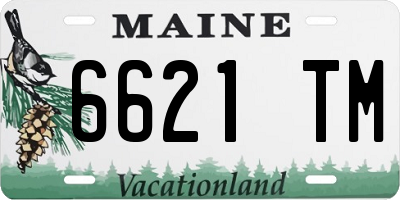 ME license plate 6621TM