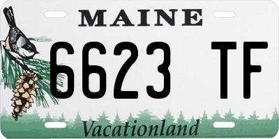 ME license plate 6623TF