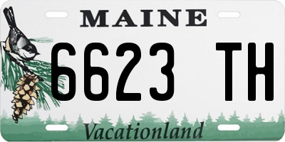 ME license plate 6623TH