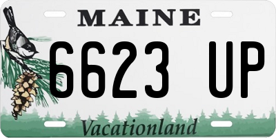 ME license plate 6623UP